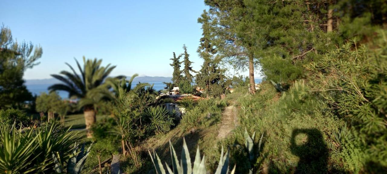 Seaside View Villa Chaniotis Extérieur photo