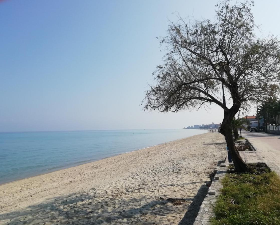 Seaside View Villa Chaniotis Extérieur photo